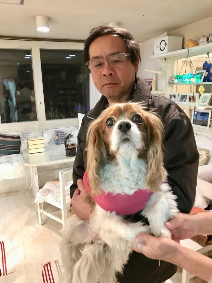 Mt Fuji Cat&Dog&Spa Pension Blue Poppy Fujikawaguchiko Exterior foto